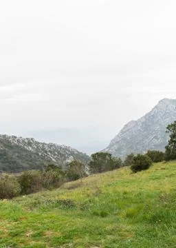 Mountains and green fields Stock Photos