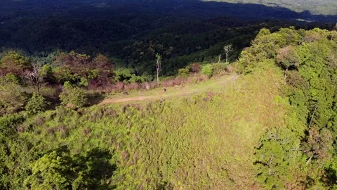 Mountains and green trees during the day Stock Footage 132955104