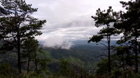 Mountains and green trees during the day Stock Footage 132955129