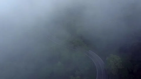 Mountains and green trees during the day Video stock 132957071