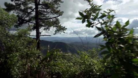 Mountains and green trees during the day Stock Footage 132959243