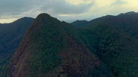 Mountains and native bush of the coromandel ranges, New Zealand Stock Footage 132628997