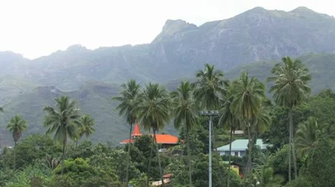 Mountains and Palm Trees Видео 10683703