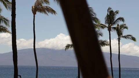 Mountains and Palm Trees Stock Footage 104791099