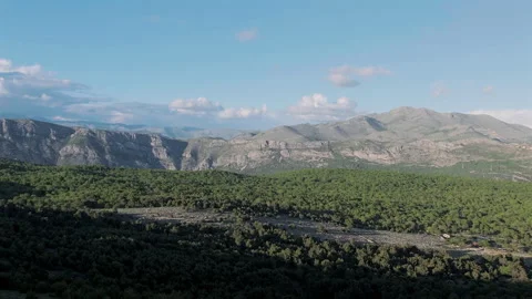 Mountains and pine trees forest from Mount Srd, Dubrovnik, Croatia, 4k Stock-Footage 274456459