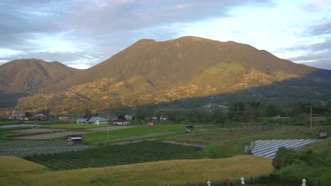 Mountains and rice fields during the day Video stock 213104365