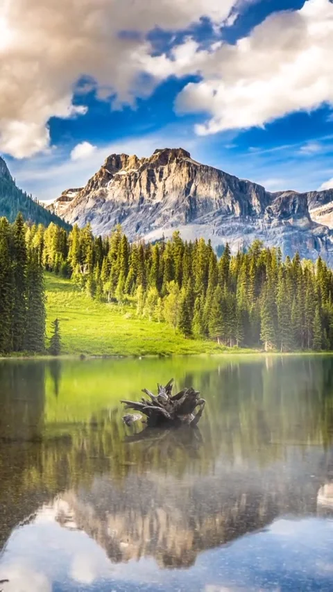 Mountains and rivers Video stock 215285036