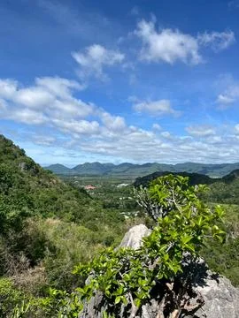 Mountains and sky, large trees in the rai Foto stock