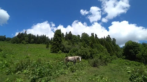 Mountains and sky2 Stock Footage 122821436