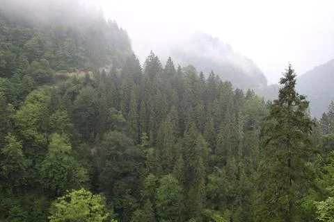 Mountains and stream Stock Photos