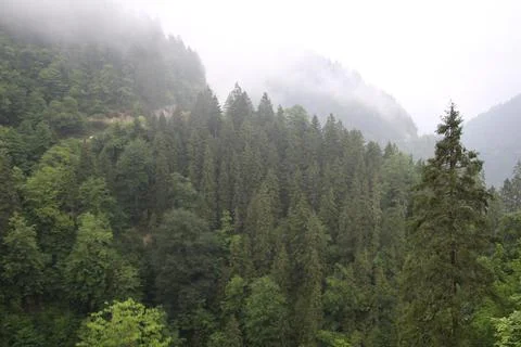Mountains and stream Stock Photos