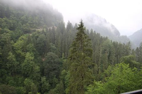 Mountains and stream Stock Photos