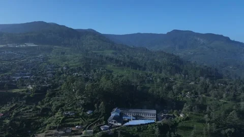 Mountains and tea factory Stock Footage 296930511