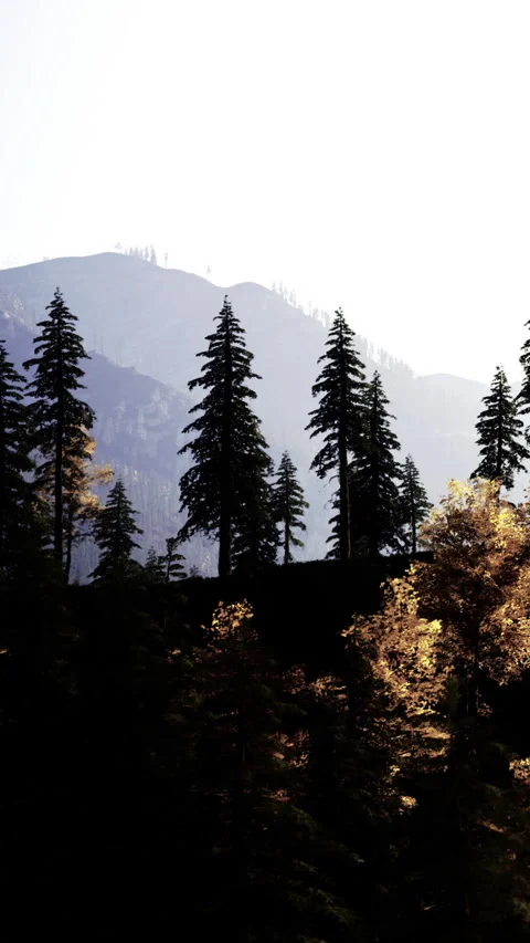 Mountains and trees in clear sky during daylight with sunlight shining Video stock 331746177