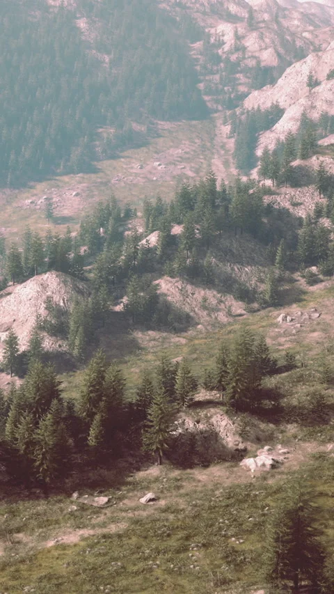Mountains and trees create a large landscape during daytime in a remote area Video stock 335692329