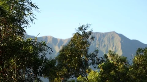 Mountains and Trees Stock Footage 93593133