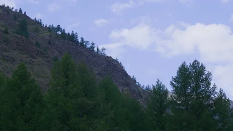 Mountains and trees Stock Footage 171730974