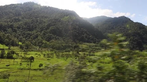 Mountains and Trees Video stock 243762840