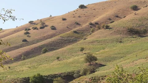 Mountains and trees Stock Footage 249444876