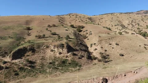 Mountains and trees Stock Footage 249448907