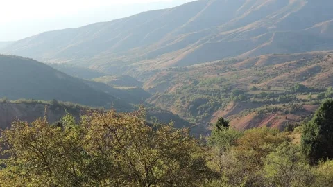 Mountains and trees Stock Footage 249449071