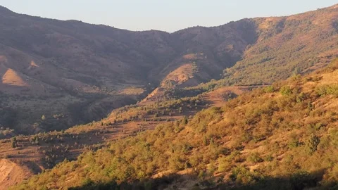 Mountains and trees Stock Footage 249449538