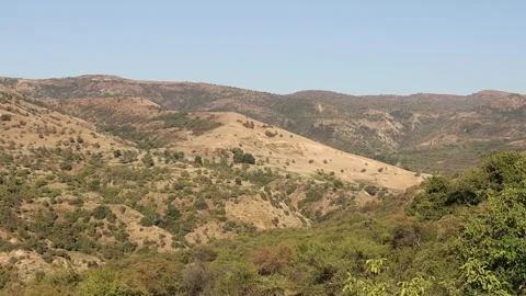 Mountains and trees Stock Footage 249449600