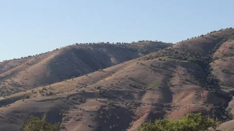 Mountains and trees Stock Footage 249449709