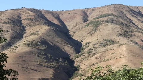 Mountains and trees Stock Footage 249449830