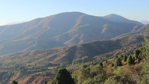 Mountains and trees Stock Footage 249449835