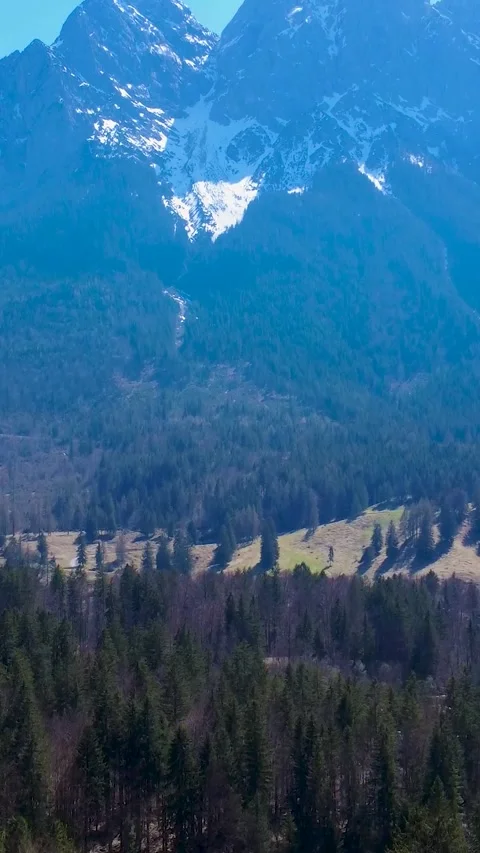 Mountains and Trees in a Landscape View With Snow-Capped Peaks in the Background Stock Footage 334858630