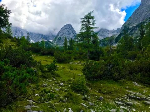 Mountains and Trees Stock Photos