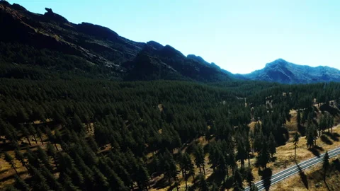 Mountains and trees seen from above with a road in the foreground Stock Footage 340029221