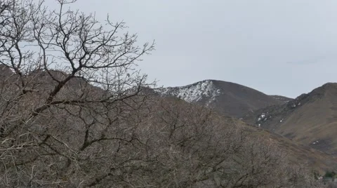 Mountains and trees Utah Stock Footage 47974462