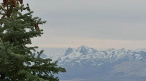 Mountains and trees Utah Stock Footage 47974721