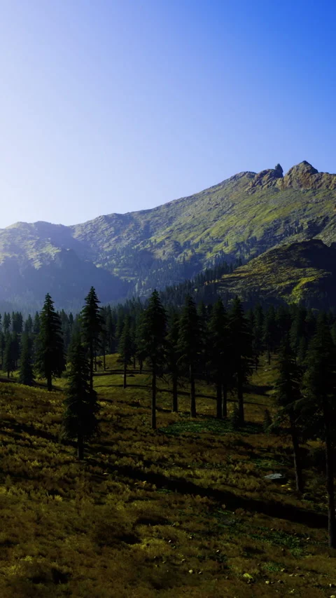 Mountains and trees in a valley during daylight with clear skies Video stock 335092459