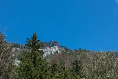 Mountains and trees while hiking Stock Photos