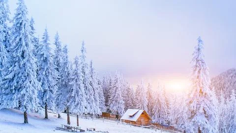 Mountains and trees in winter Stock Photos