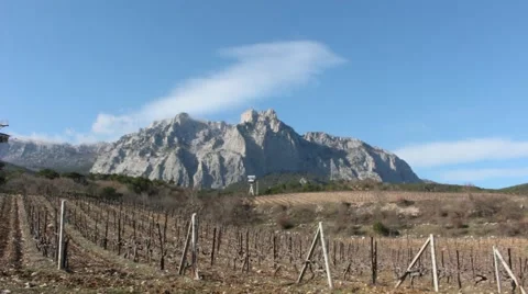 Mountains and vineyard. Crimea Stock-Footage 47089908