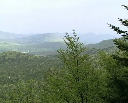 MOUNTAINS and woods pan Video stock 12120465