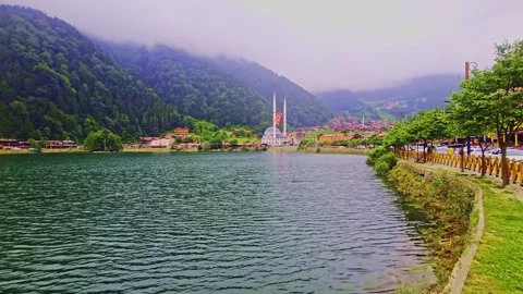Mountains are in the background a detailed. Stock Footage 284636047