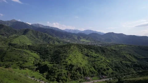 Mountains are covered with green trees and grasses Stock Footage 202879264