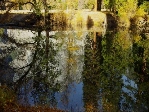 Mountains are reflected in Merced River at Yosemite National Park, California. Stock Footage 81620886