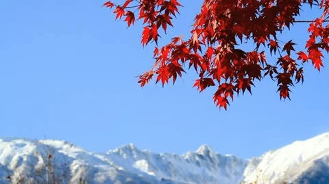 The mountains in autumn. Video stock 12613769