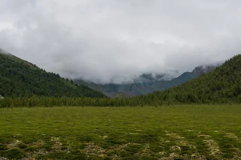 Mountains on the background-Altai Stock Photos