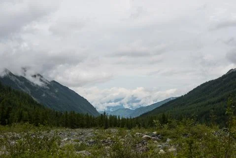 Mountains on the background-Altai Photos