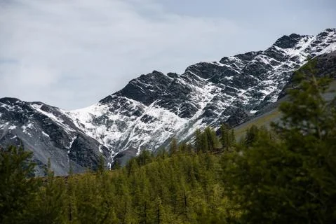 Mountains on the background-Altai Stock Photos
