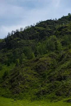 Mountains on the background-Altai Stock Photos