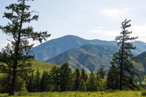 Mountains on the background-Altai Stock Photos
