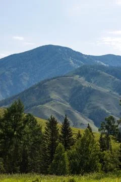 Mountains on the background-Altai Stock Photos